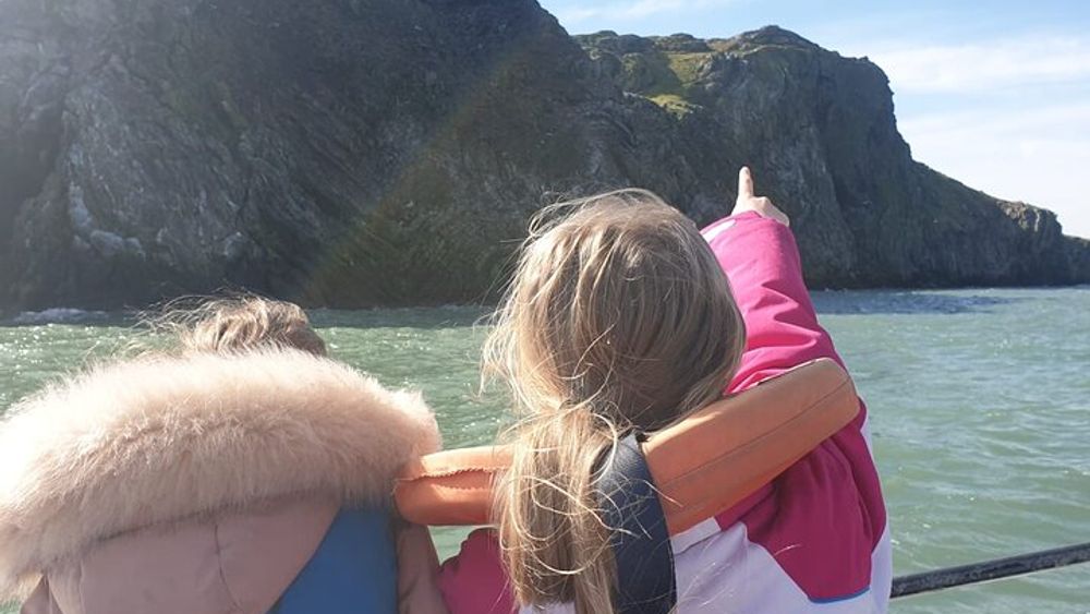 Dublin Howth Cliffs Sightseeing Cruise
