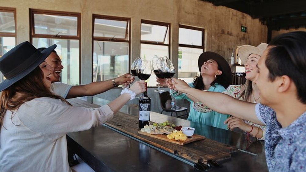 Valle de Guadalupe Wine Tasting Tour