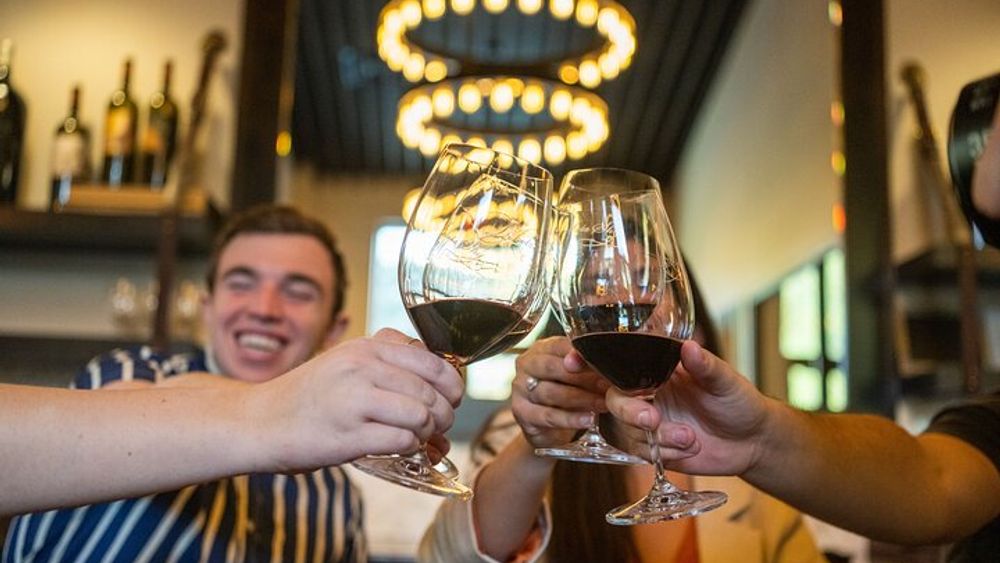 Napa and Sonoma Group Wine Tour From San Francisco