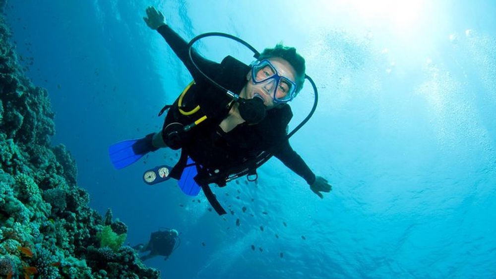 Lets Go Diving with pickup from hotel