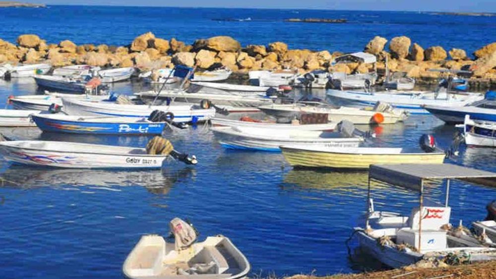 Tripoli and Batroun Guided Small-Group Trip with Lunch