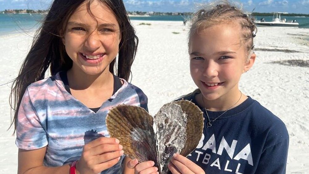 Barrier Island Small-Group Shellfish Hunt with Naturalist