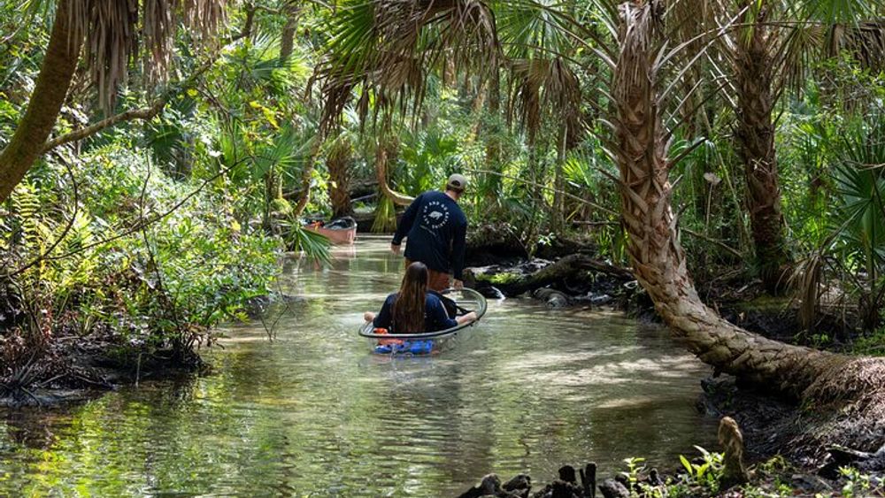 Crystal River Small-Group Chassahowitzka Clear Kayak Tour