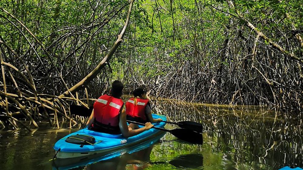 Kayaking Tour Chiriqui