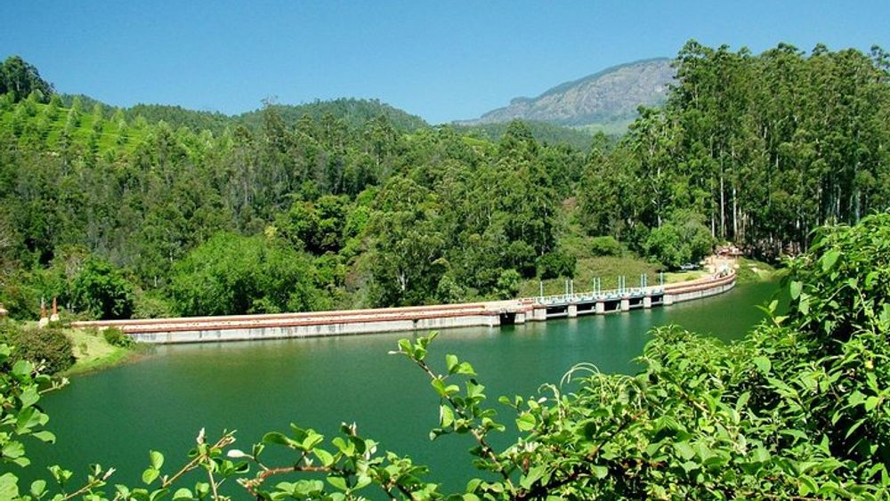 Munnar Site-seeing Tour