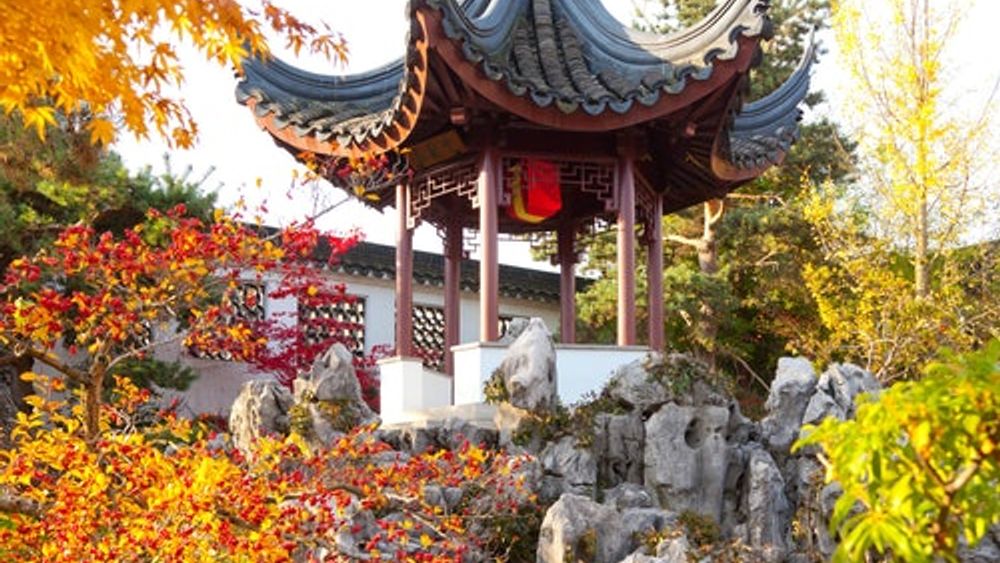 Dr. Sun Yat-Sen Chinese Garden: Entry Ticket + Chinese Guided Tour Option