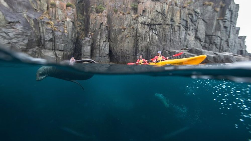 Kayak the Tasman Peninsula: Full Day Tour from Hobart