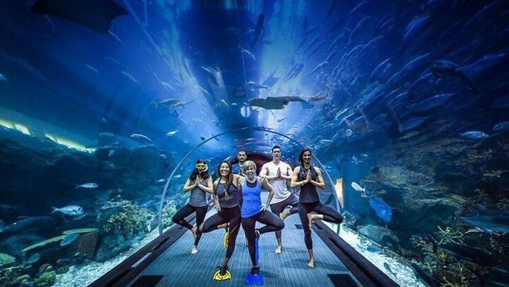 Dubai Aquarium and Underwater Zoo Tour with Glass Boat Tour
