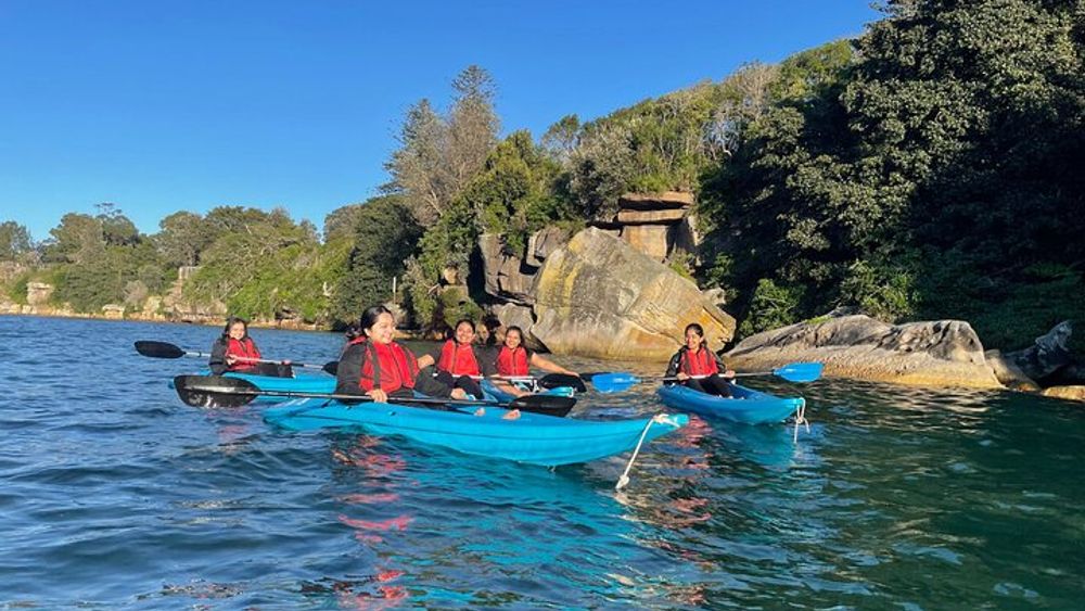 Small-Group 2.5-Hour Clear-Bottom Kayak Tour Around Manly
