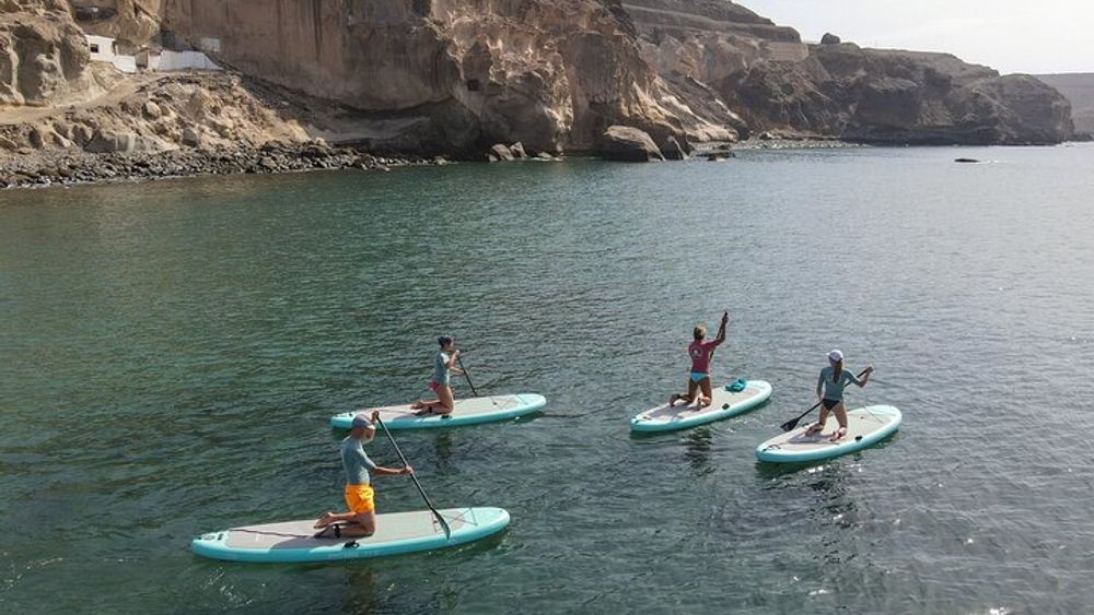 2 Hour Stand Up Paddle Lesson in Gran Canaria