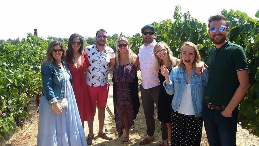 Sonoma Wine Country Small-Group Vineyard Tour with Tastings