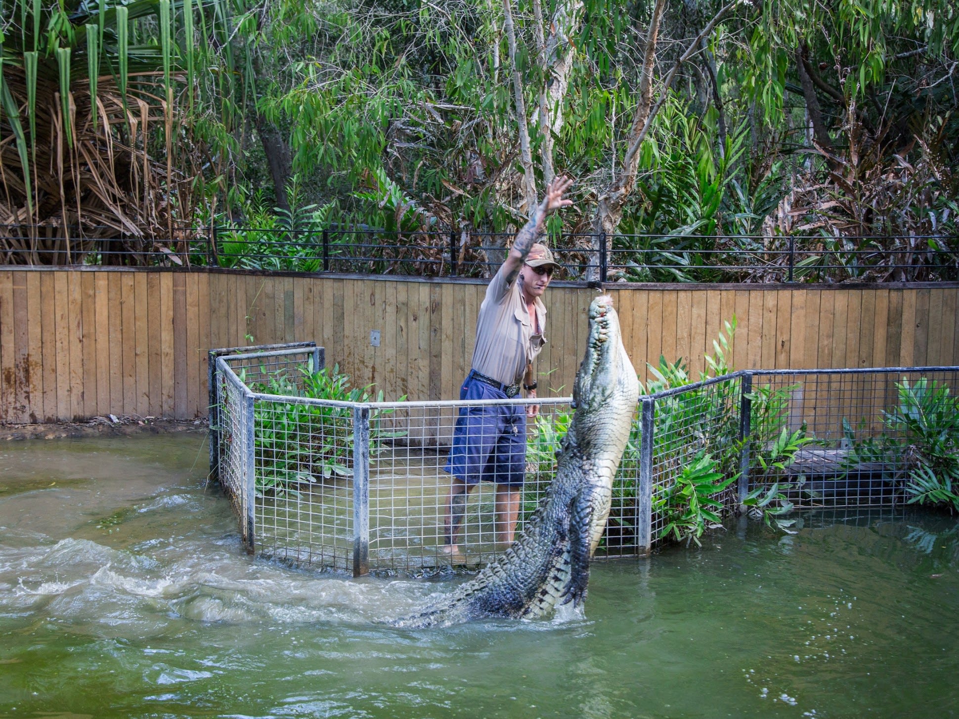 Hartley's Crocodile Adventures ex Port Douglas