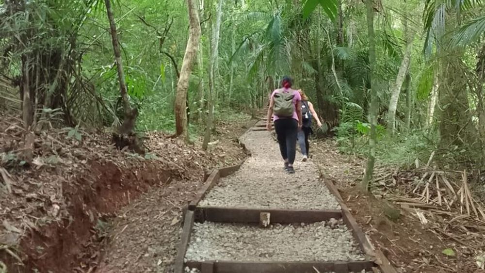 Walking Tour Metropolitan Park Panama City