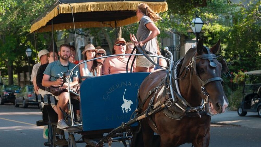 Historic Carriage Tour of Charleston