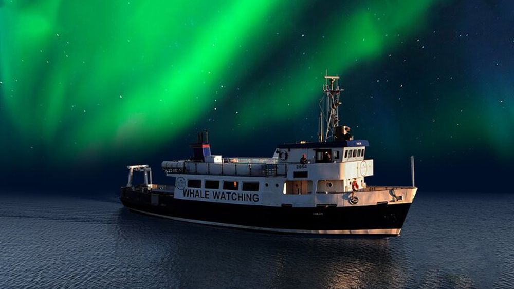 Reykjavik Northern Lights Viewing Evening Boat Tour