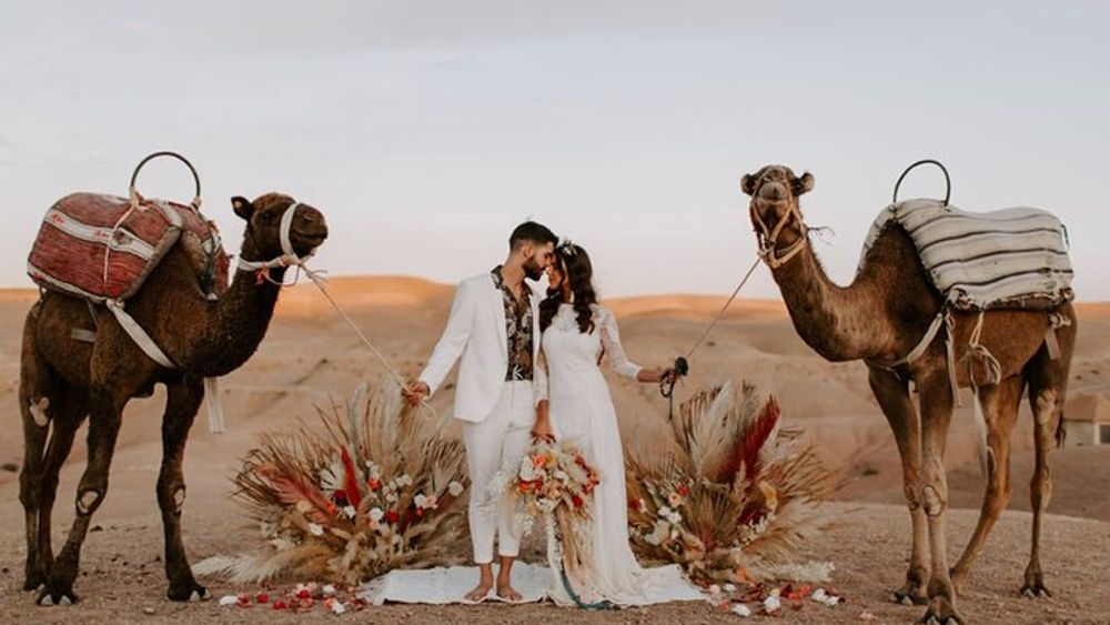 Dinner show and Sunset Camel riding Agafay desert