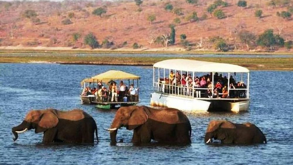Chobe National Park Full-Day Safari Tour from Livingstone