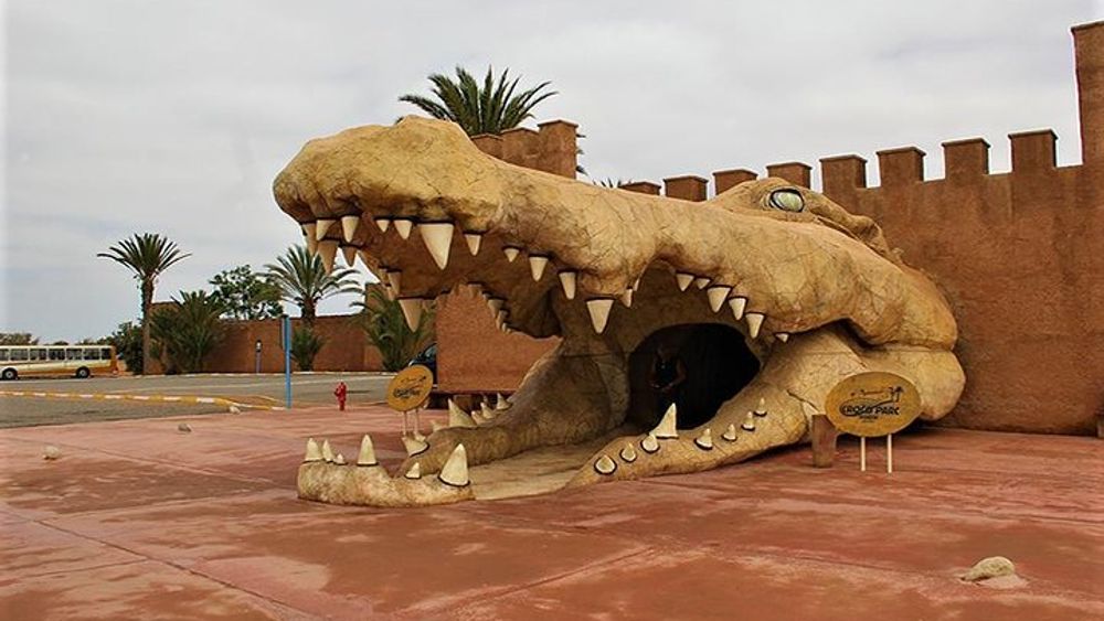 Crocoparc Half-Day Tour with Moroccan Tea