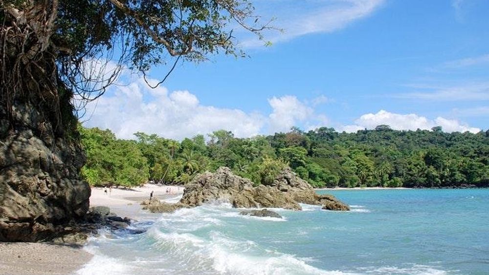 Manuel Antonio National Park one day tour from San Jose