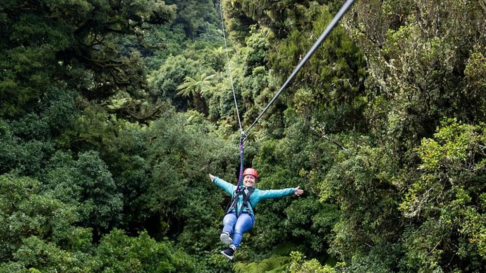 Ziplining Forest Adventure - The Original Canopy Tour Rotorua