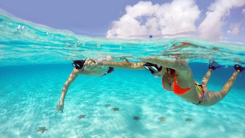 Cozumel Small Group Tour from Playa del Carmen
