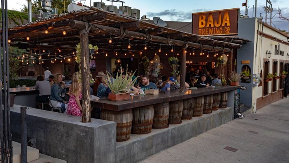 San Jose del Cabo Small-Group Half-Day Art Walk