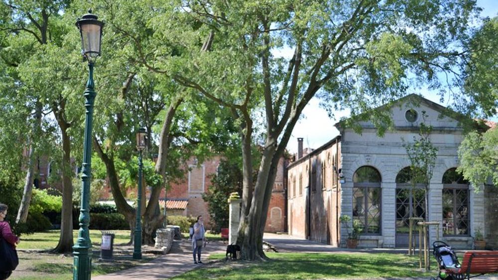 Venice Secret Gardens Walking Tour