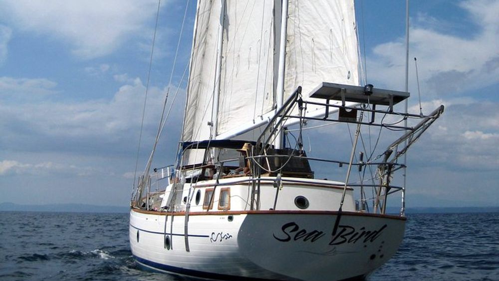 Snorkeling and Cruises