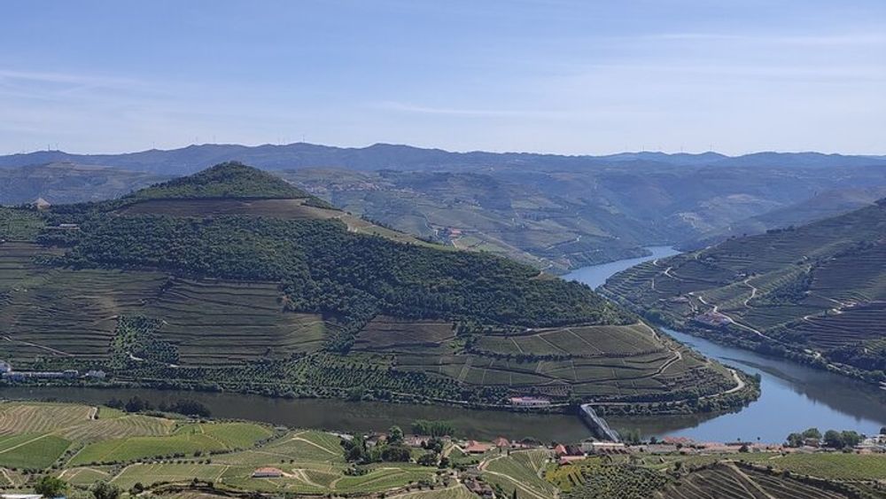 3-Hour Tour to Discover Pinhão - Moment of Discovery