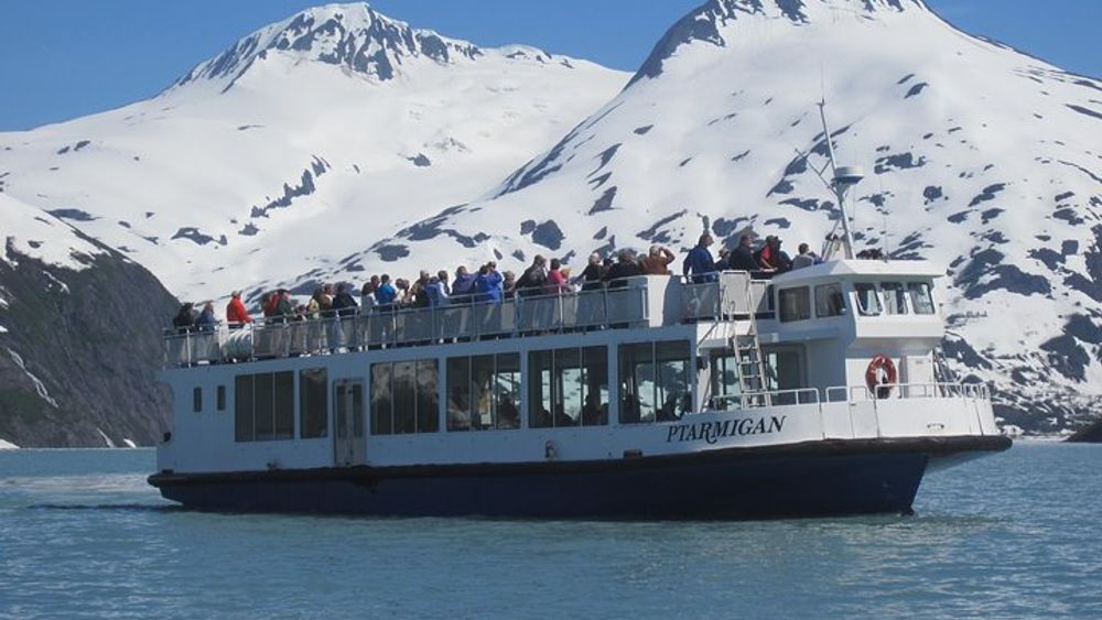Portage Glacier Cruise, Alaskan Wildlife Small-Group Tour