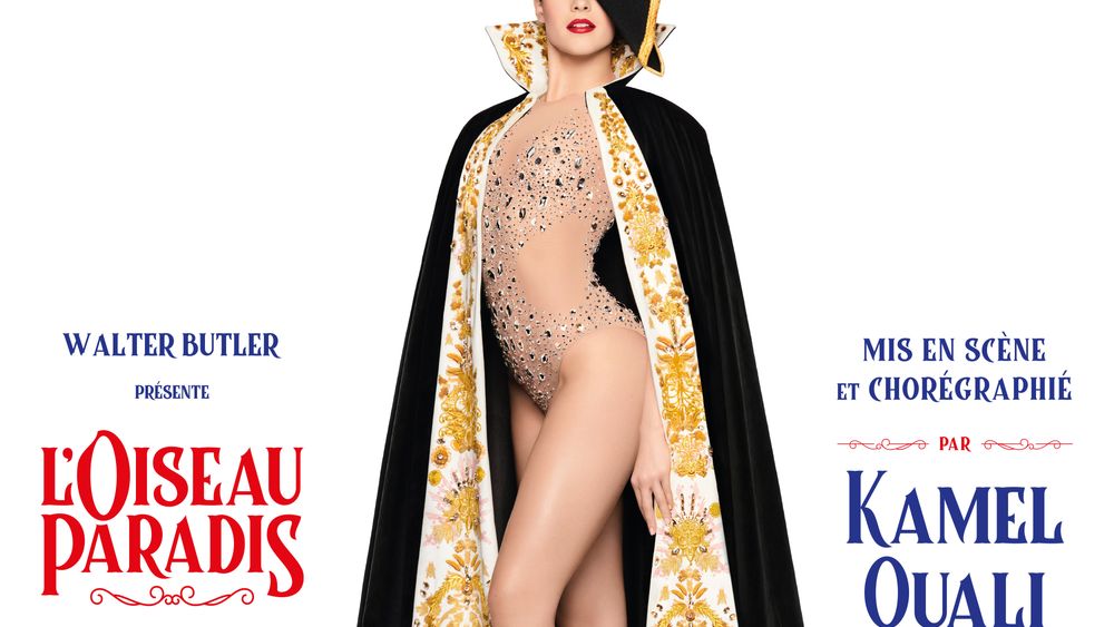 Paradis Latin: Cabaret Night Show