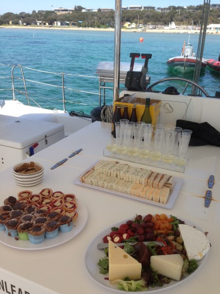 Private Catamaran Sailing Charter  - Dolphin II