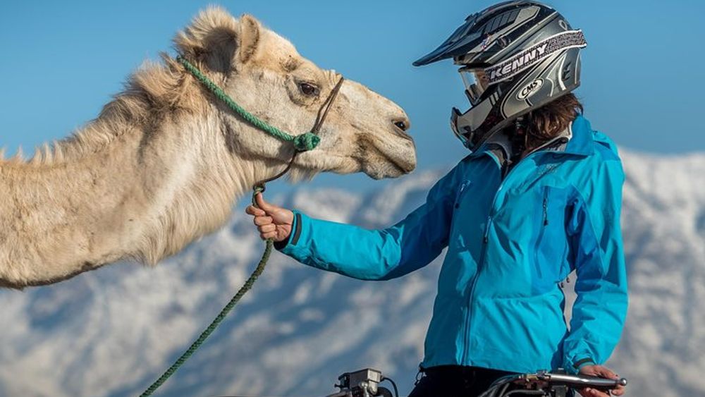 Marrakech Camel and Quad Biking Tour with Moroccan Lunch