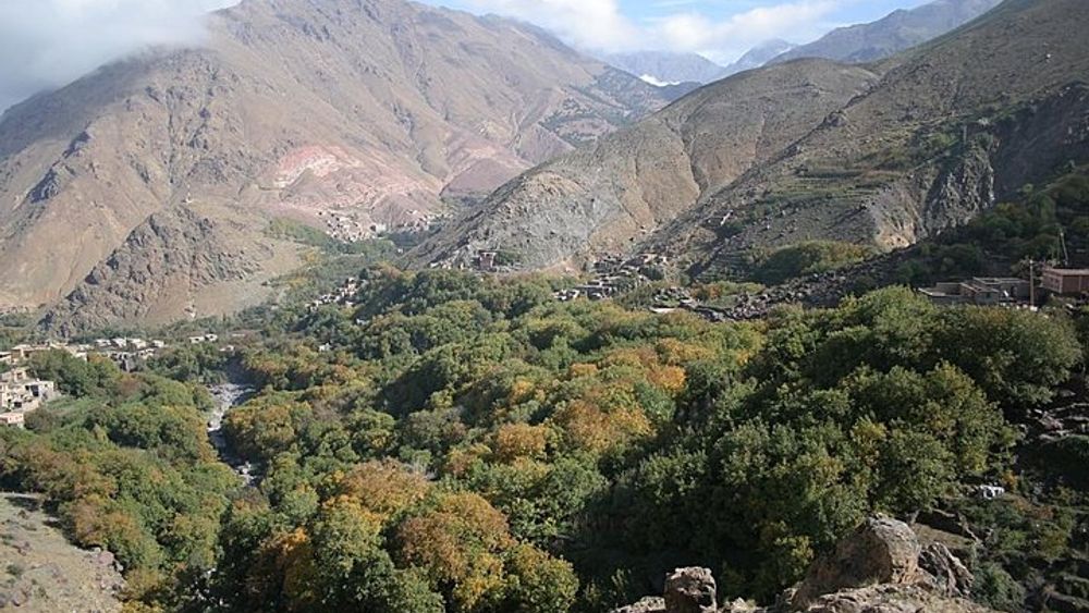 Marrakech to Atlas Mountains Small-Group Day Trip with Lunch