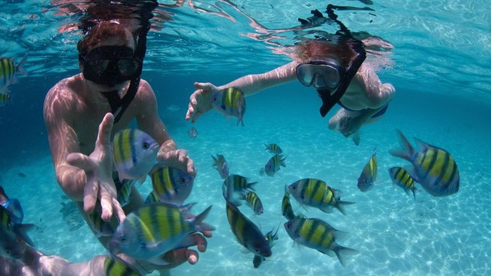 Cabo San Lucas 2-Hour Snorkeling Tour at Land's End