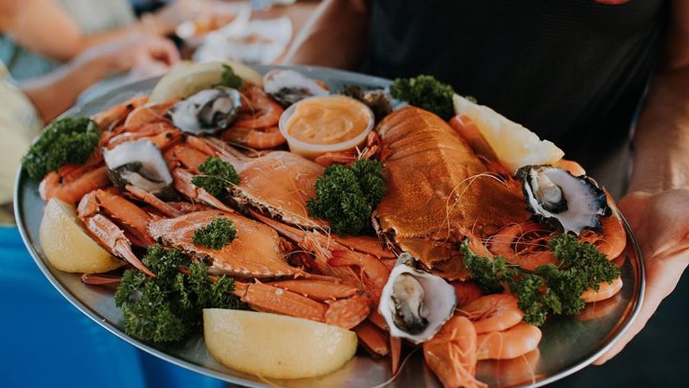 Seafood Lunch Cruise