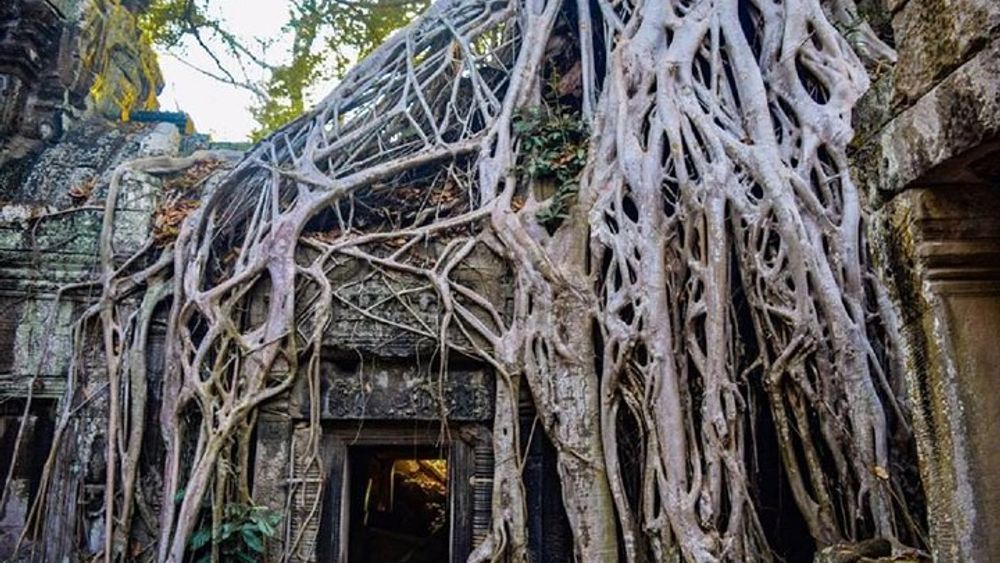 Angkor Wat 1Day Tour With Sunrise