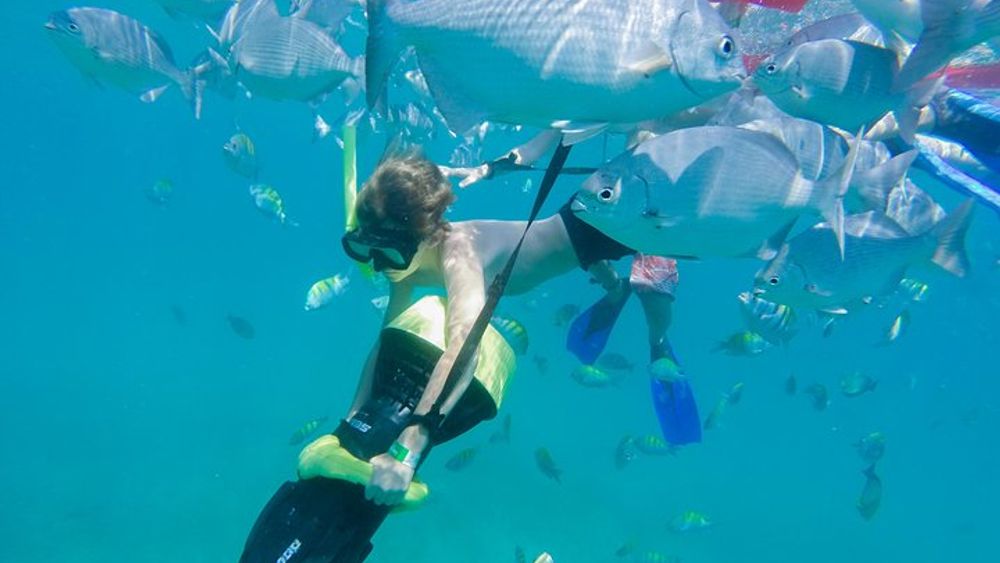 Los Cabos Snorkeling, Kayak and Stand-Up Paddleboard Adventure