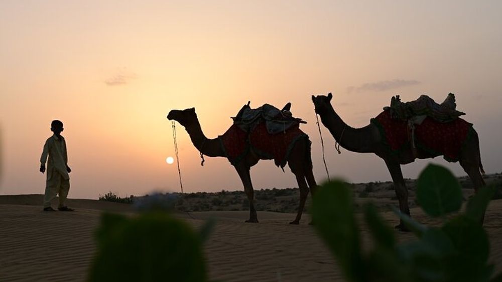 Thar Desert Luxury Overnight Experience