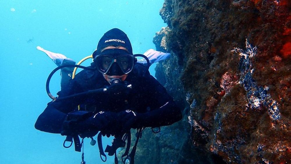 Tenerife Discover Scuba Diving Half-Day Experience
