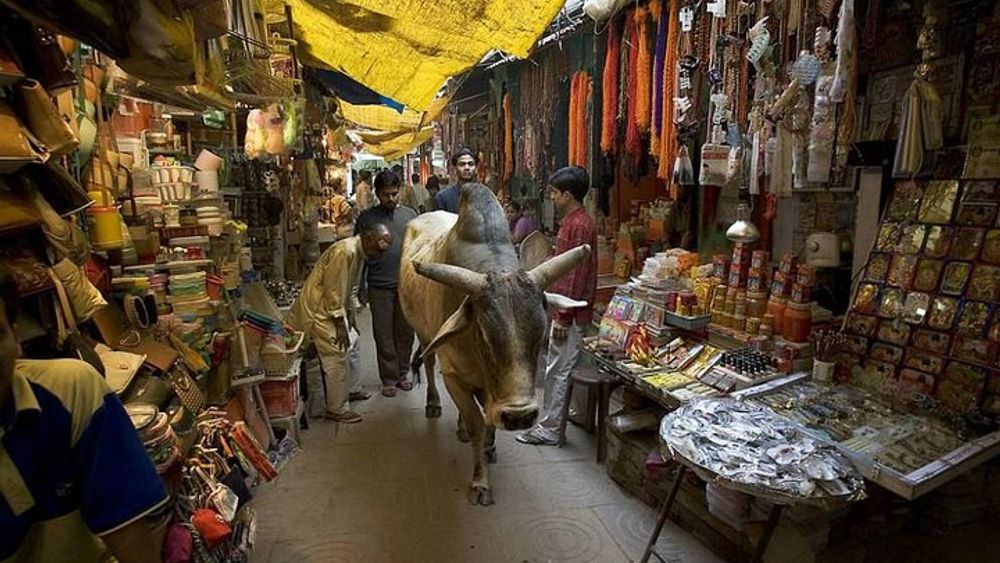 Varanasi Unveiled: An Introductory Walk