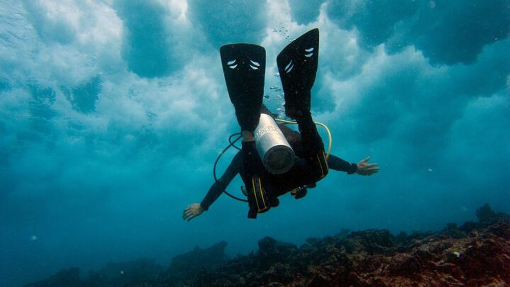 Cancun Small-Group Full-Day Scuba Diving for Beginners