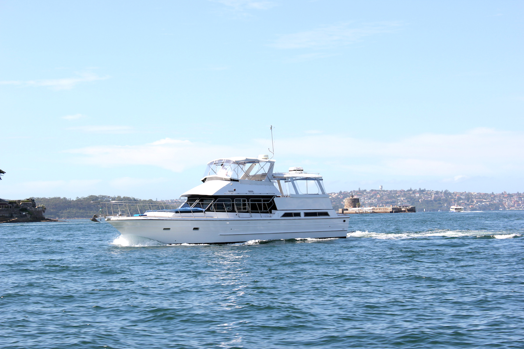 Harbour Highlights Morning Tea  (PRIVATE)