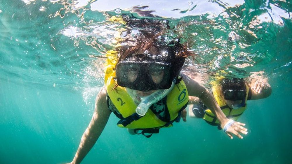 Snorkel, Lunch & Sail in Cabo San Lucas