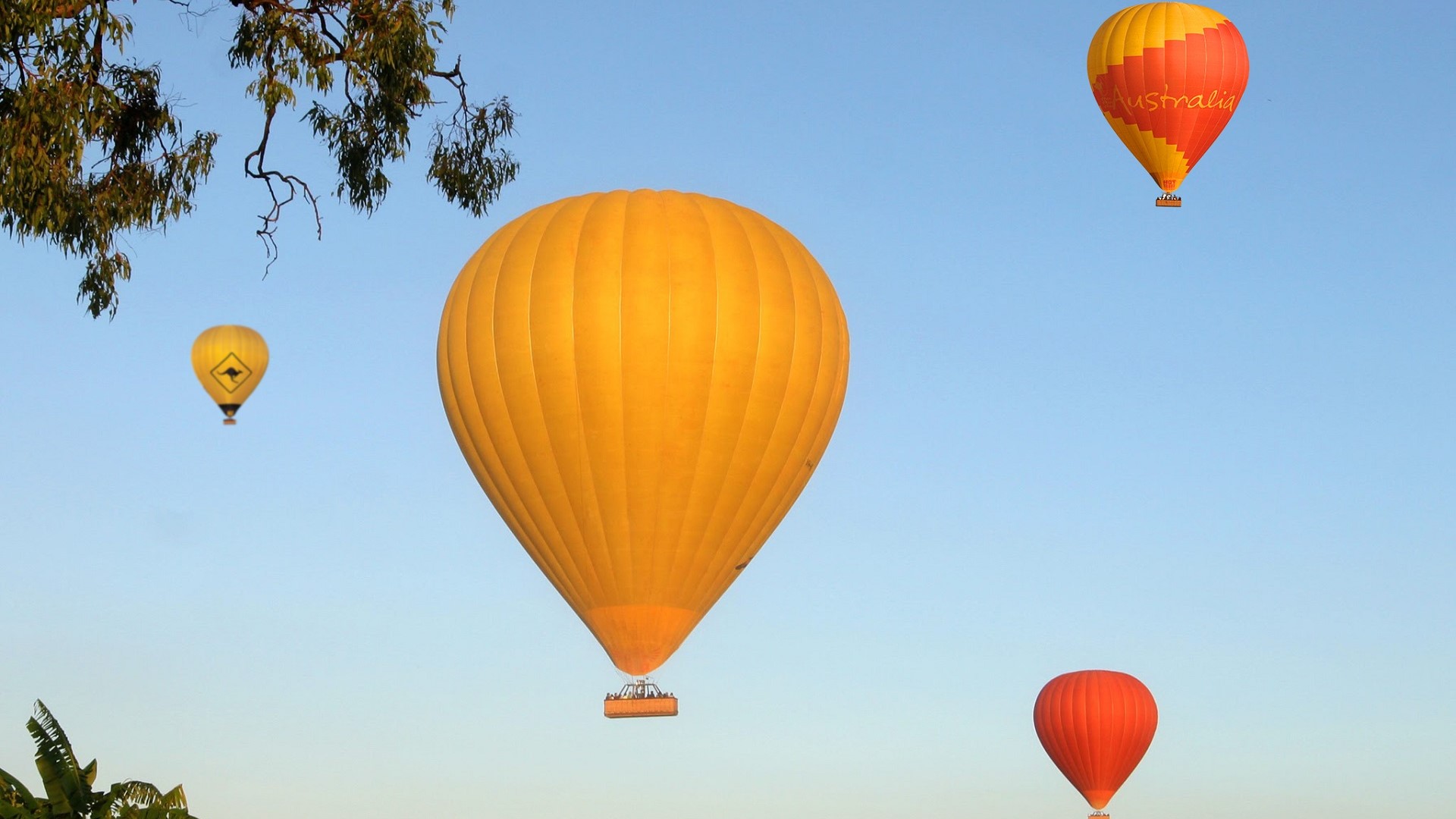 Cairns Classic Hot Air Balloon flight