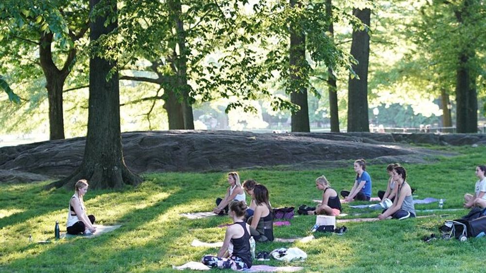 Central Park Yoga Class with a View in the Heart of New York City