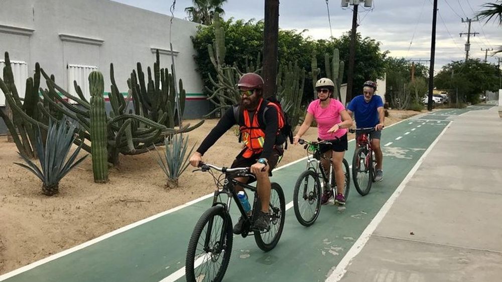San José del Cabo Small-Group Cycling Tour: Nature and City