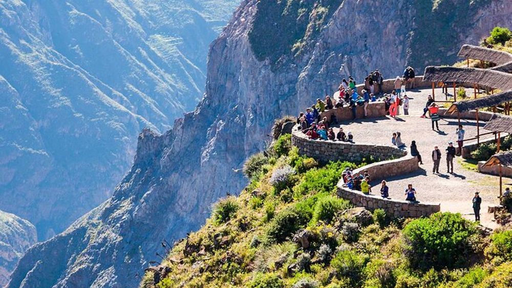 Full Day Tour to Colca Canyon from Arequipa