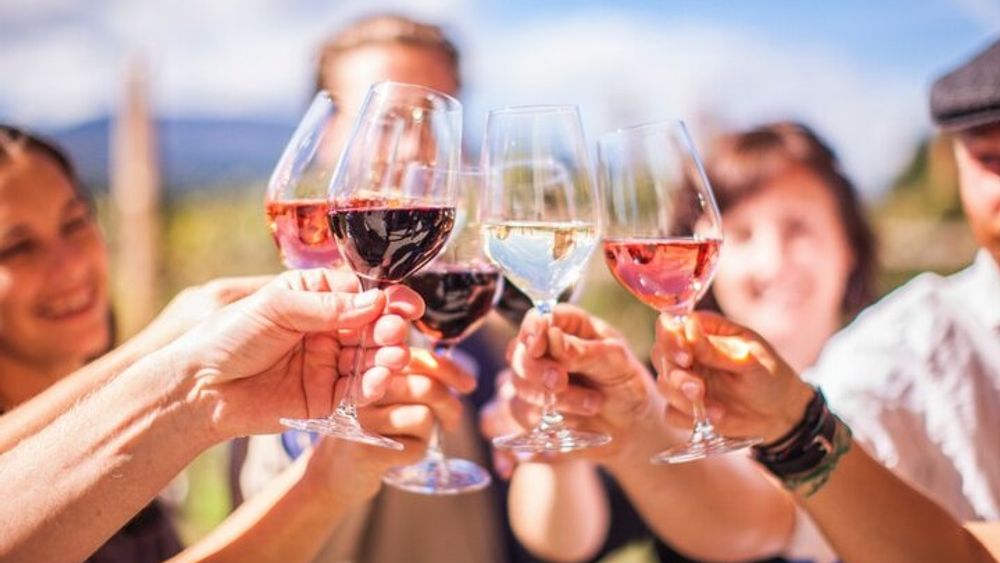 Full-Day Sunshine Coast Wine and Lunch Tour