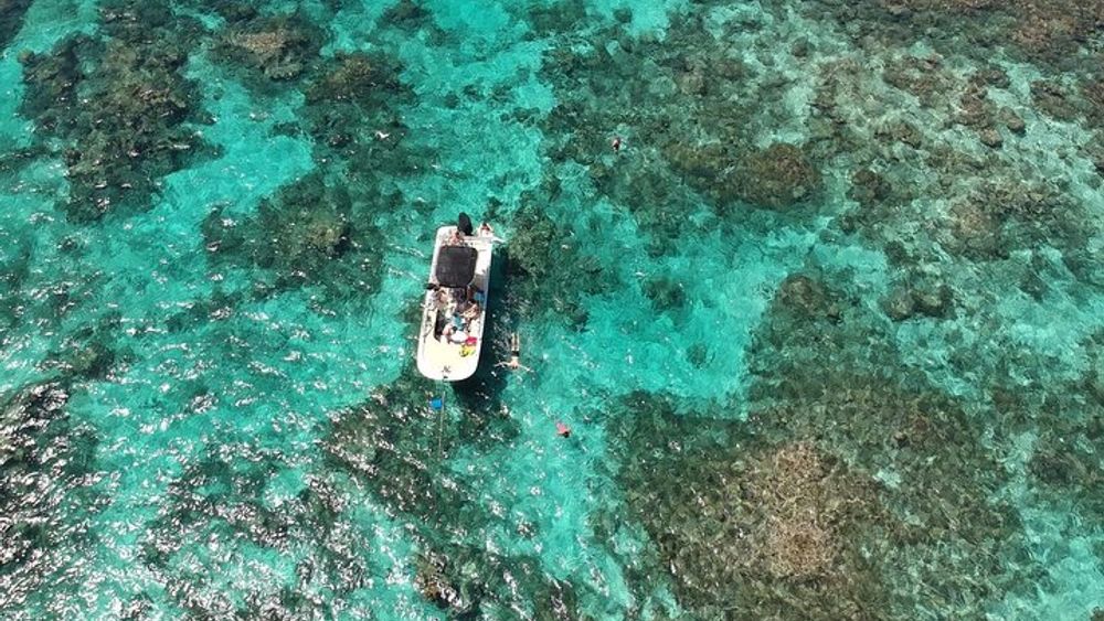 Sainte-Rose to the Blue Lagoon Small-Group Snorkeling Tour